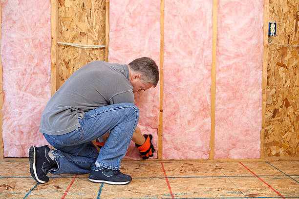 Best Specialized Insulation Services in Mansfield, MO