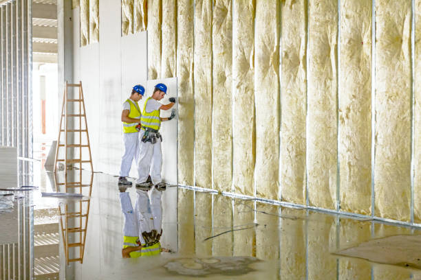 Best DIY Insulation Kits and Guidance in Mansfield, MO